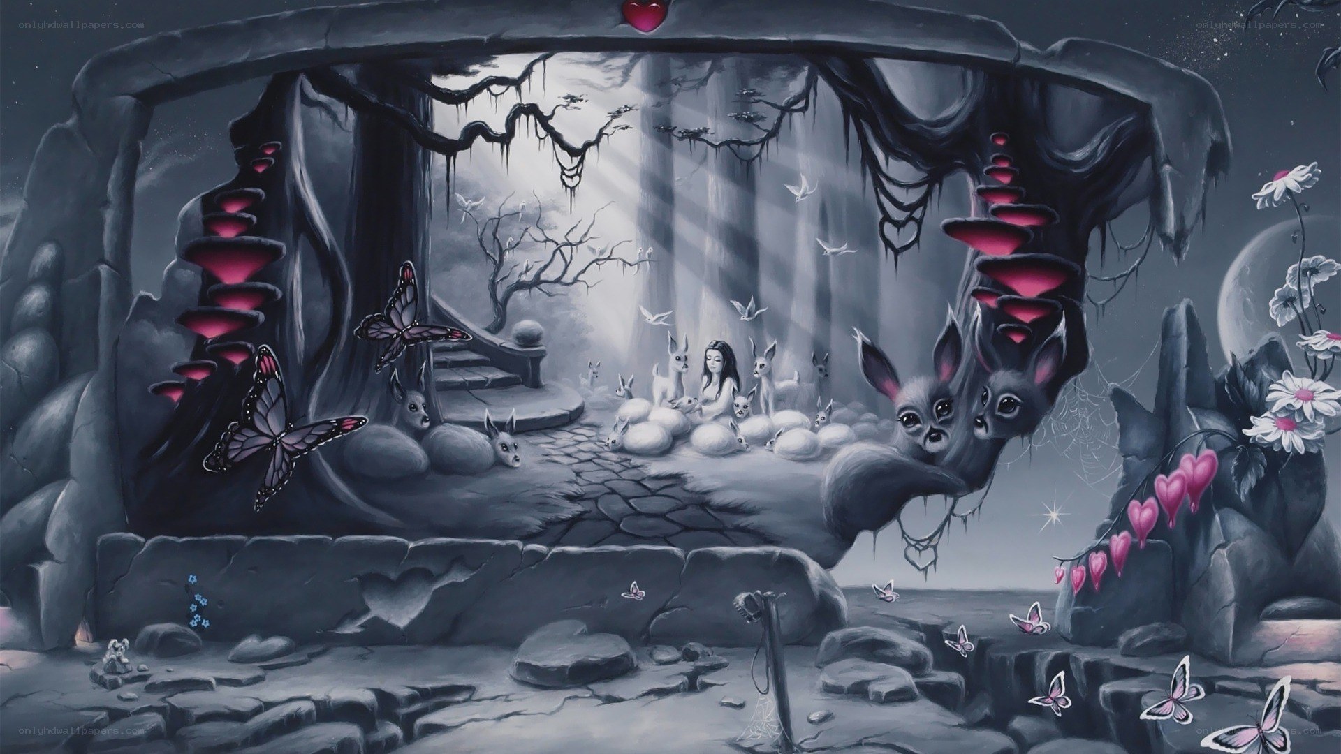 dark forest sanctuary