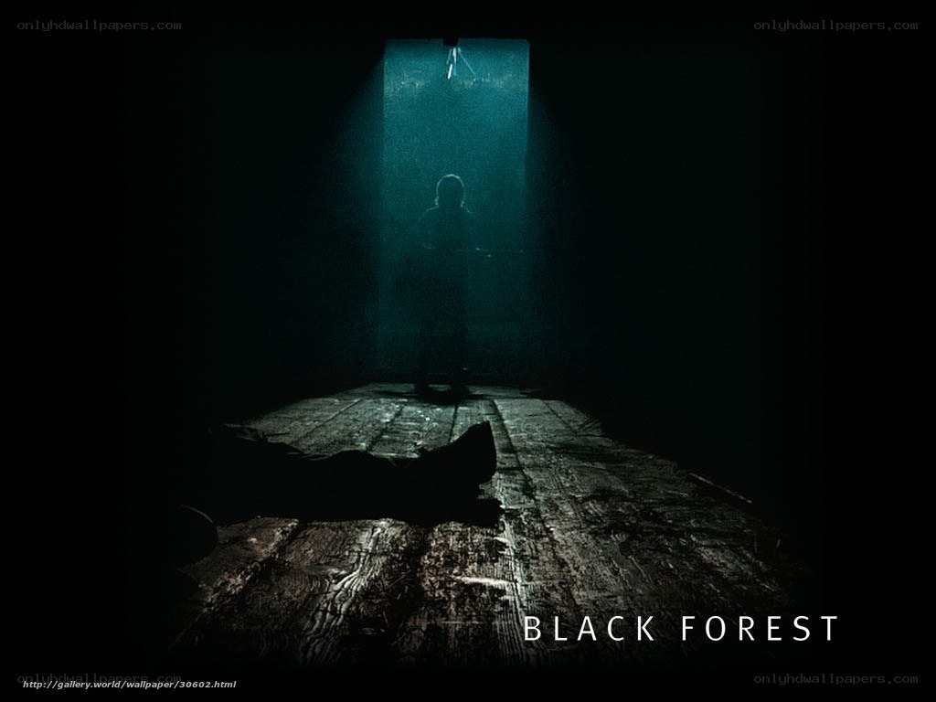 Dark forest scene with silhouettes
