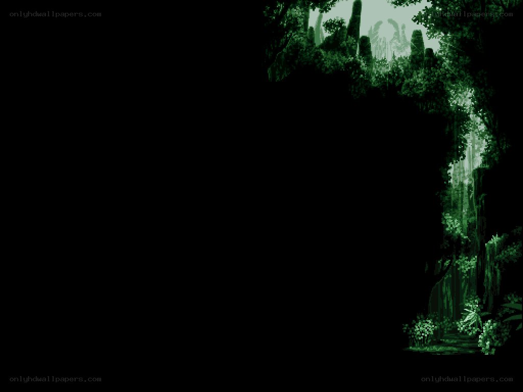 dark forest scene