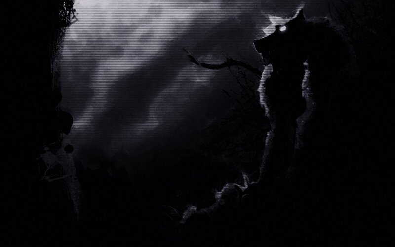 dark forest silhouette