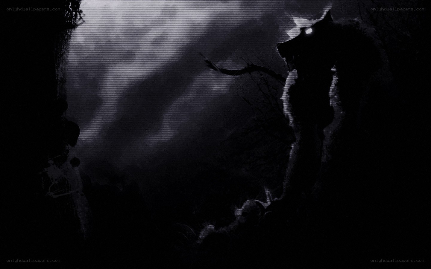 dark forest silhouette