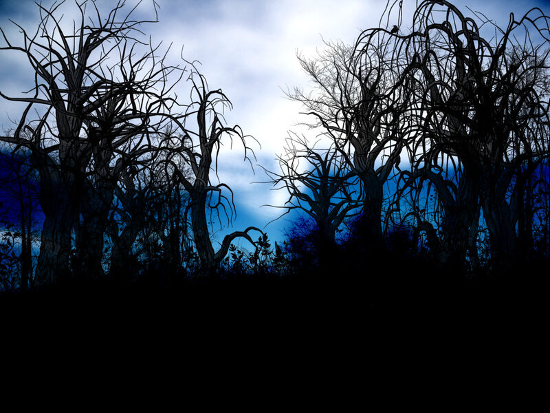 dark forest silhouette