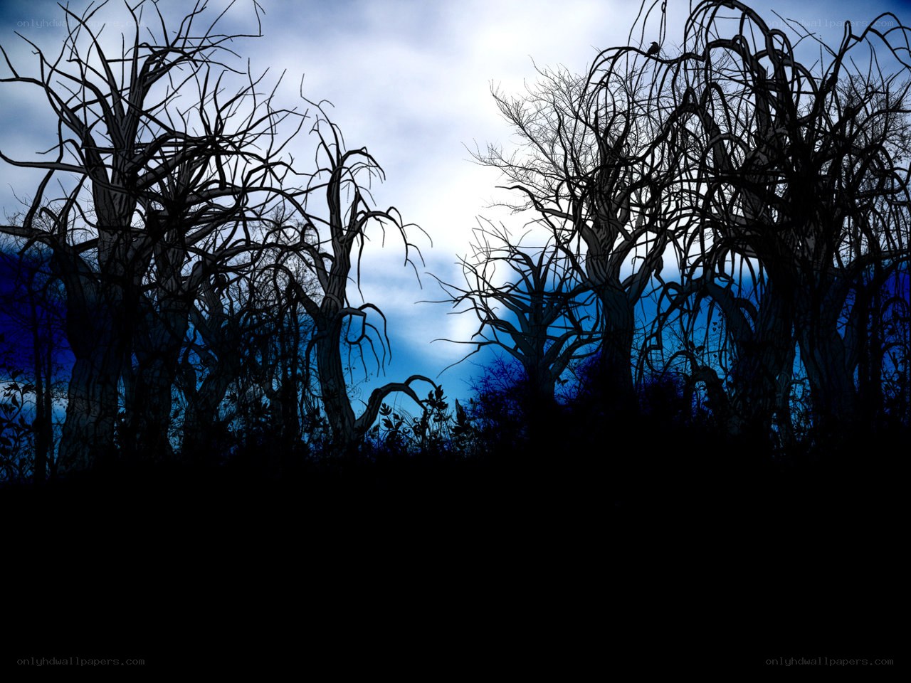 dark forest silhouette