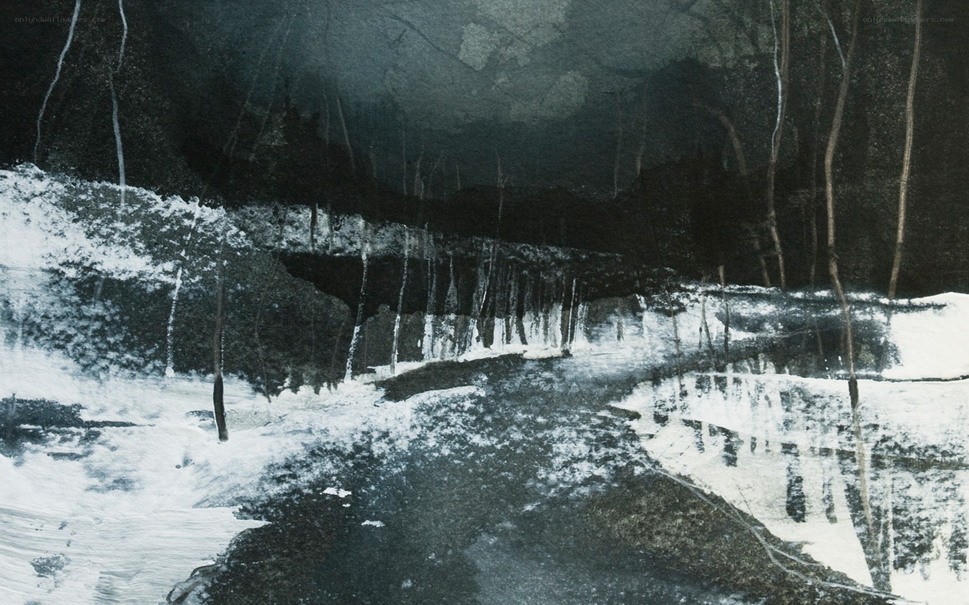 Dark forest stream landscape