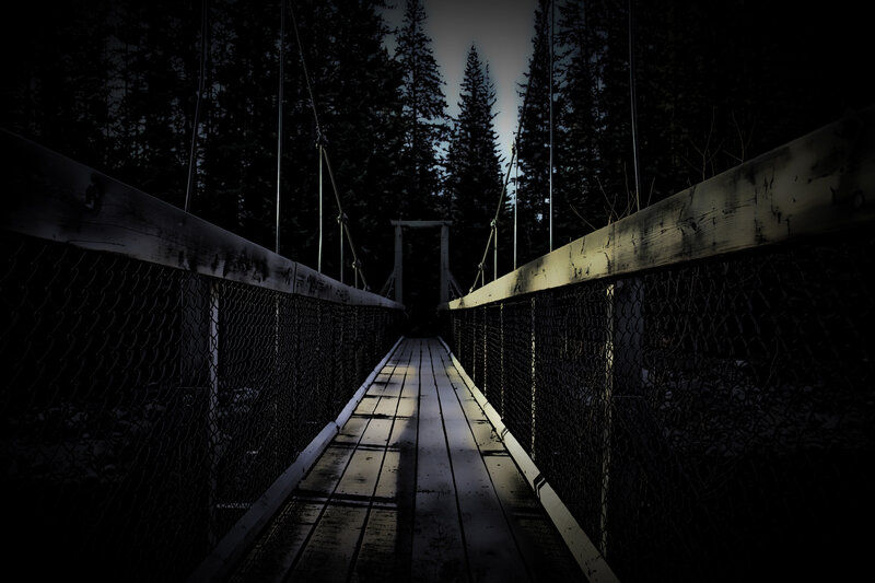 Dark forest suspension bridge