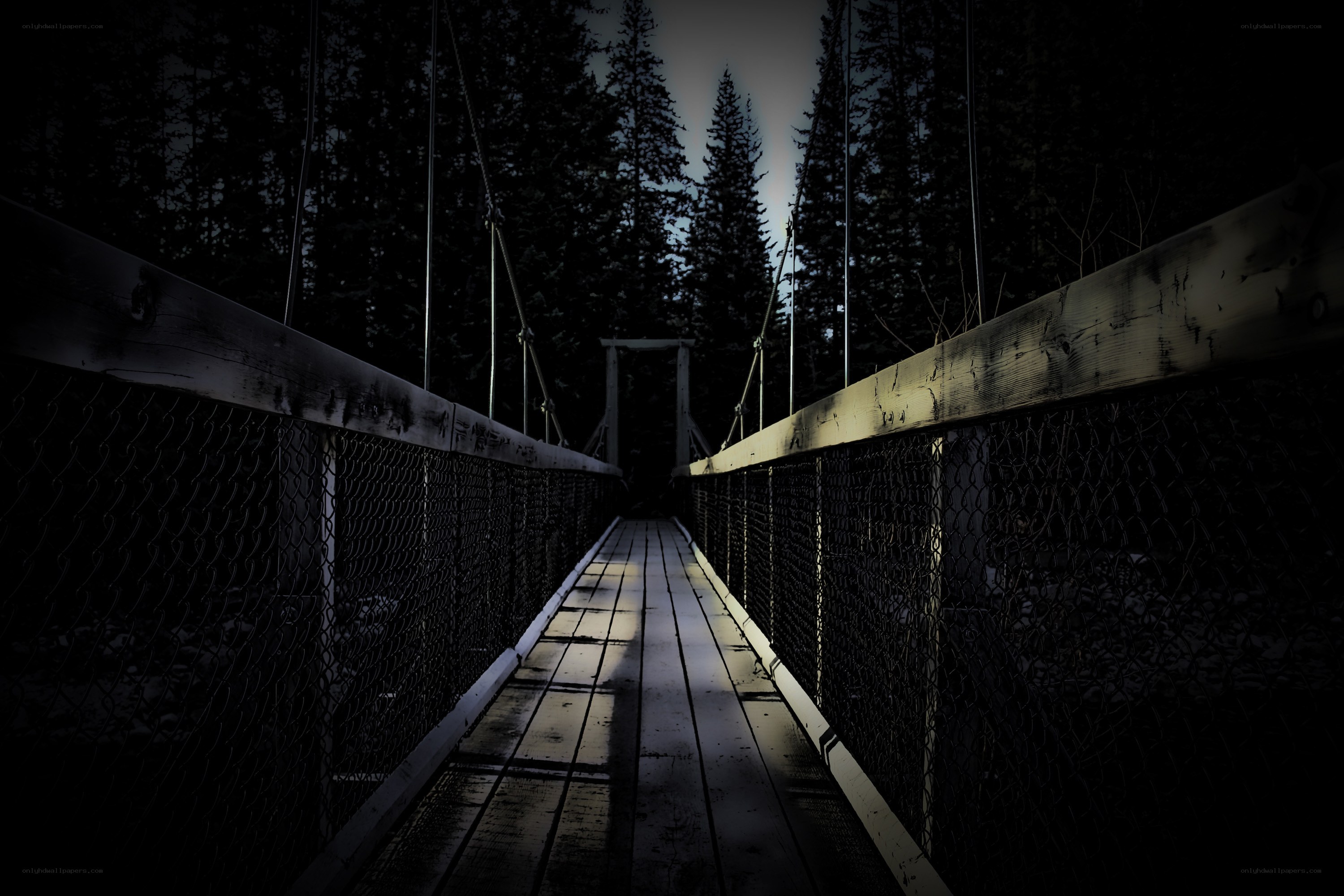 Dark forest suspension bridge