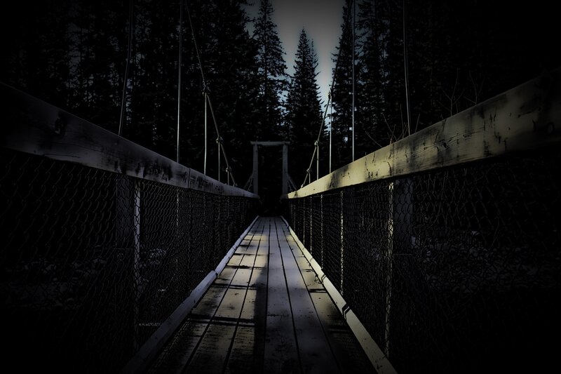 Dark forest suspension bridge