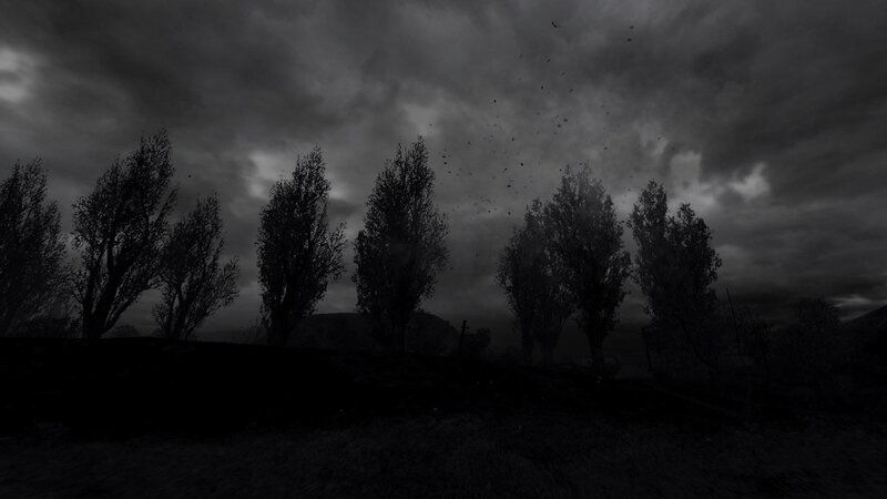dark forest under stormy sky