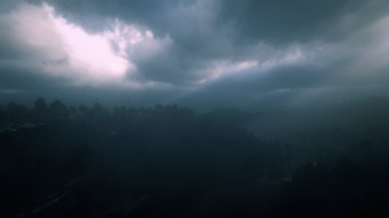 Dark Forest under Stormy Sky — Gray