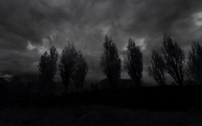 dark forest under stormy sky