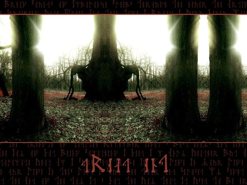 Dark forest with ancient tree