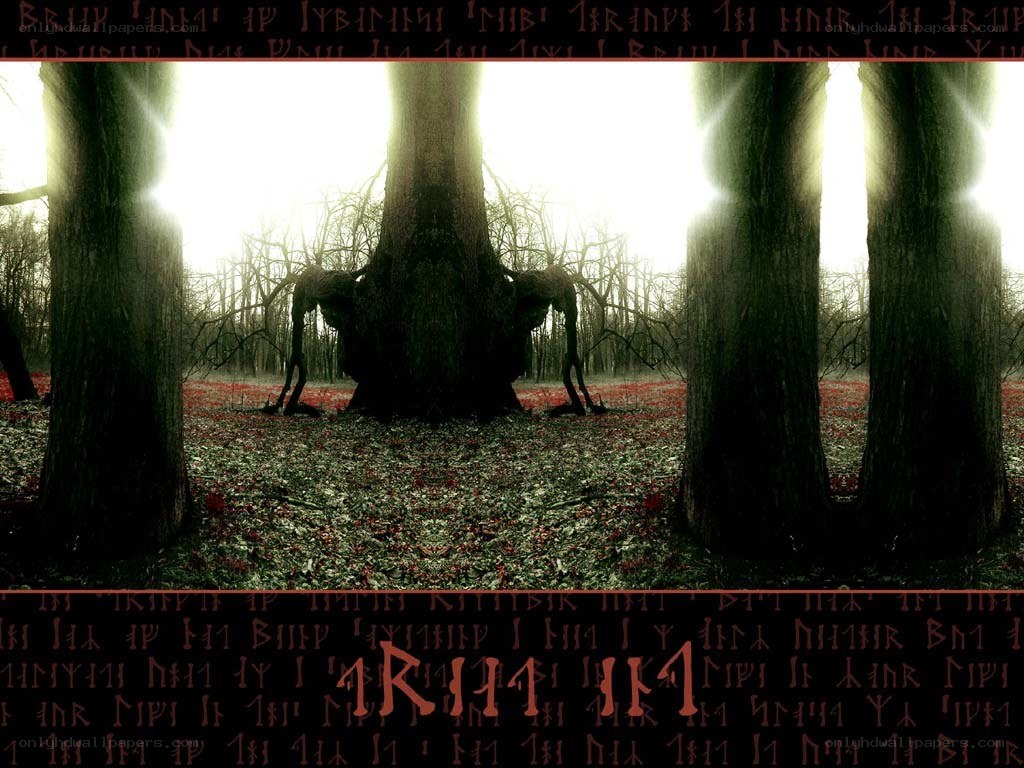 Dark forest with ancient tree