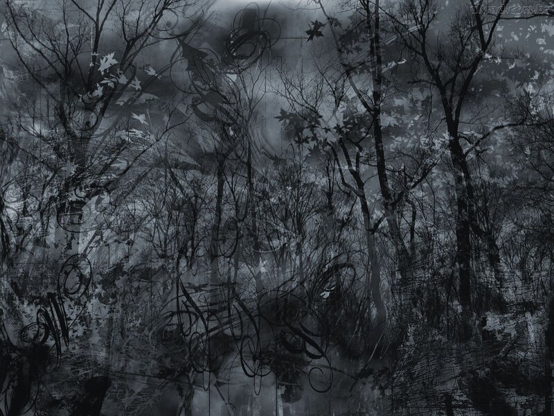 Dark Forest with Bare Trees