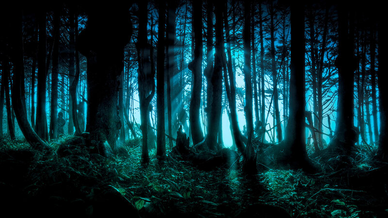 Dark forest with blue light