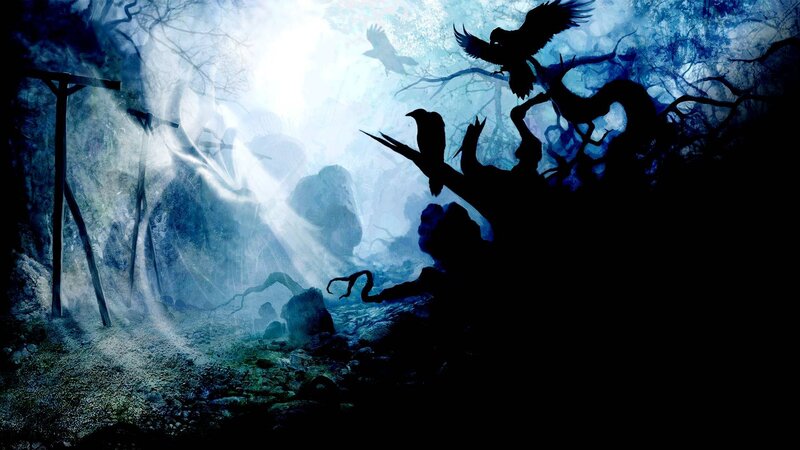 dark forest with crows