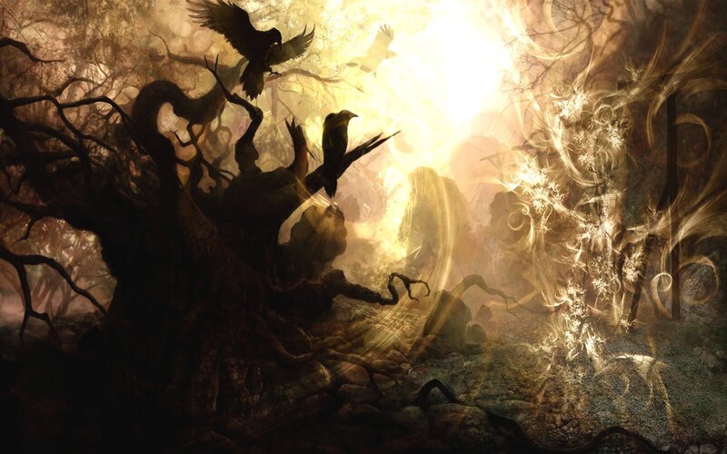 Dark forest with crows and light