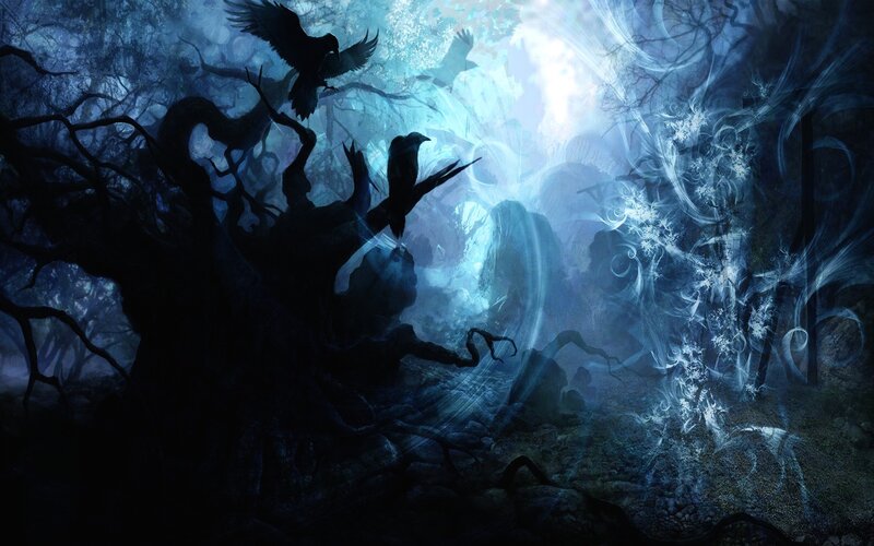 Dark forest with crows and light
