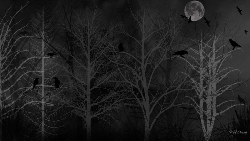 Dark forest with crows and moon