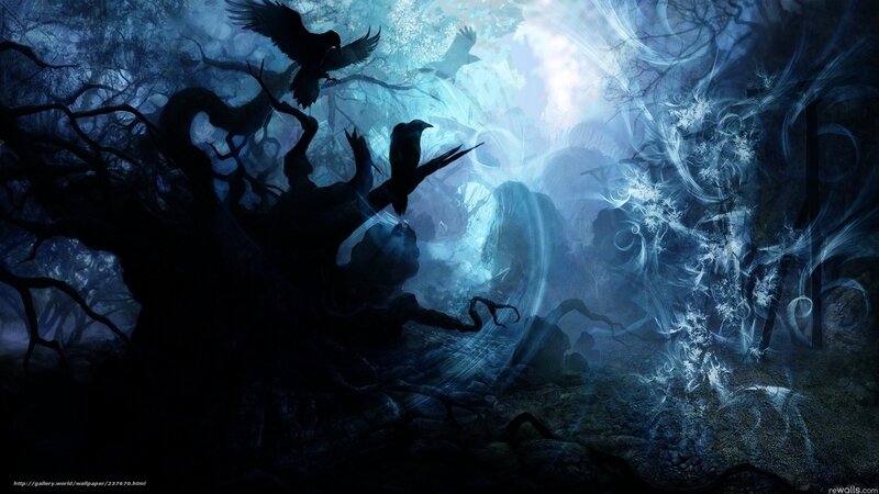 dark forest with crows