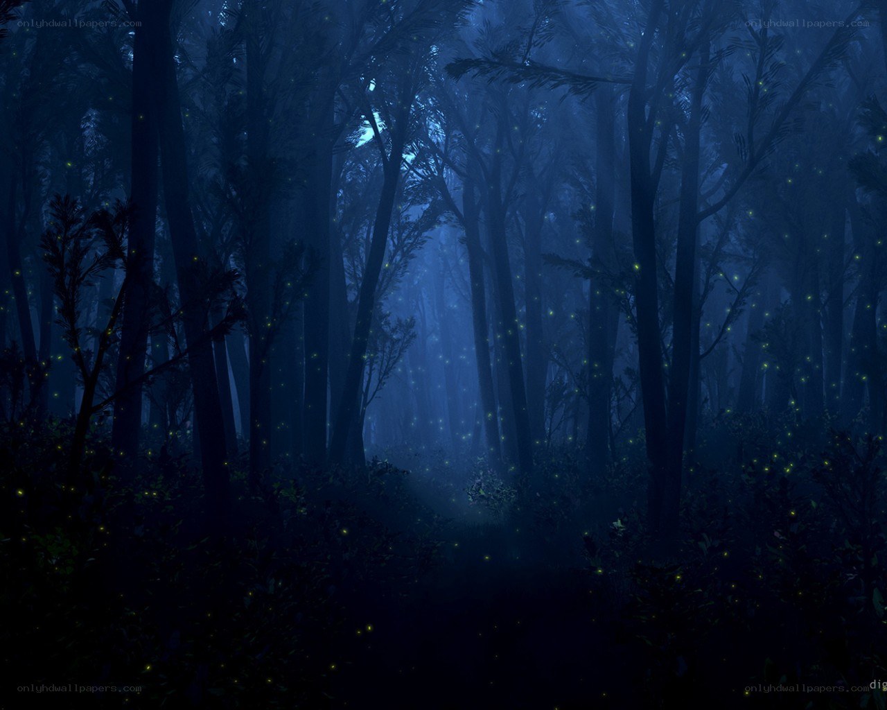 Dark forest with fireflies