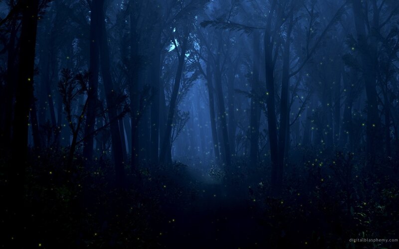 Dark forest with fireflies