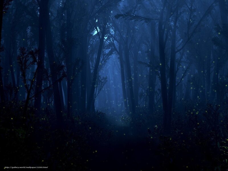 Dark forest with fireflies