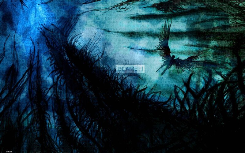dark forest with flying creature