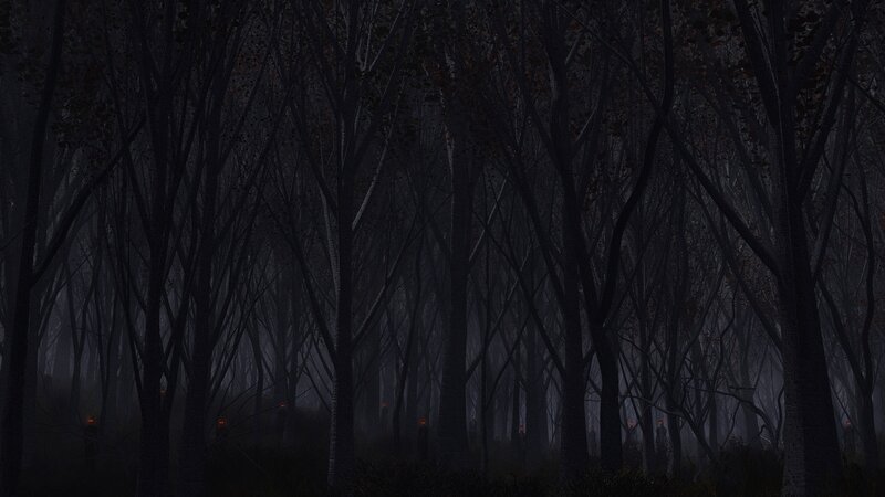 Dark forest with glowing eyes