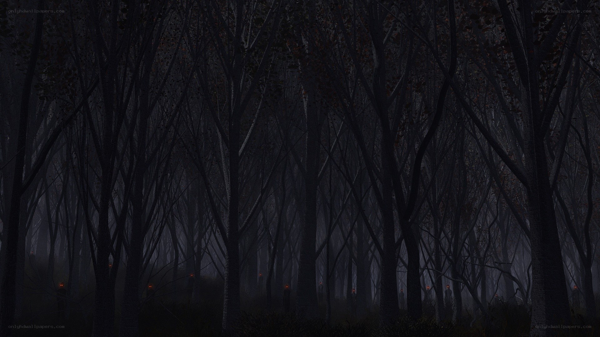 Dark forest with glowing eyes