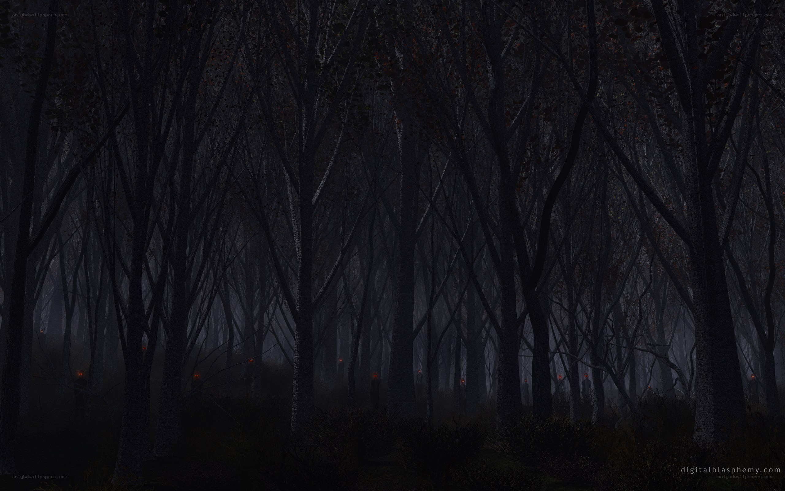dark forest with glowing eyes