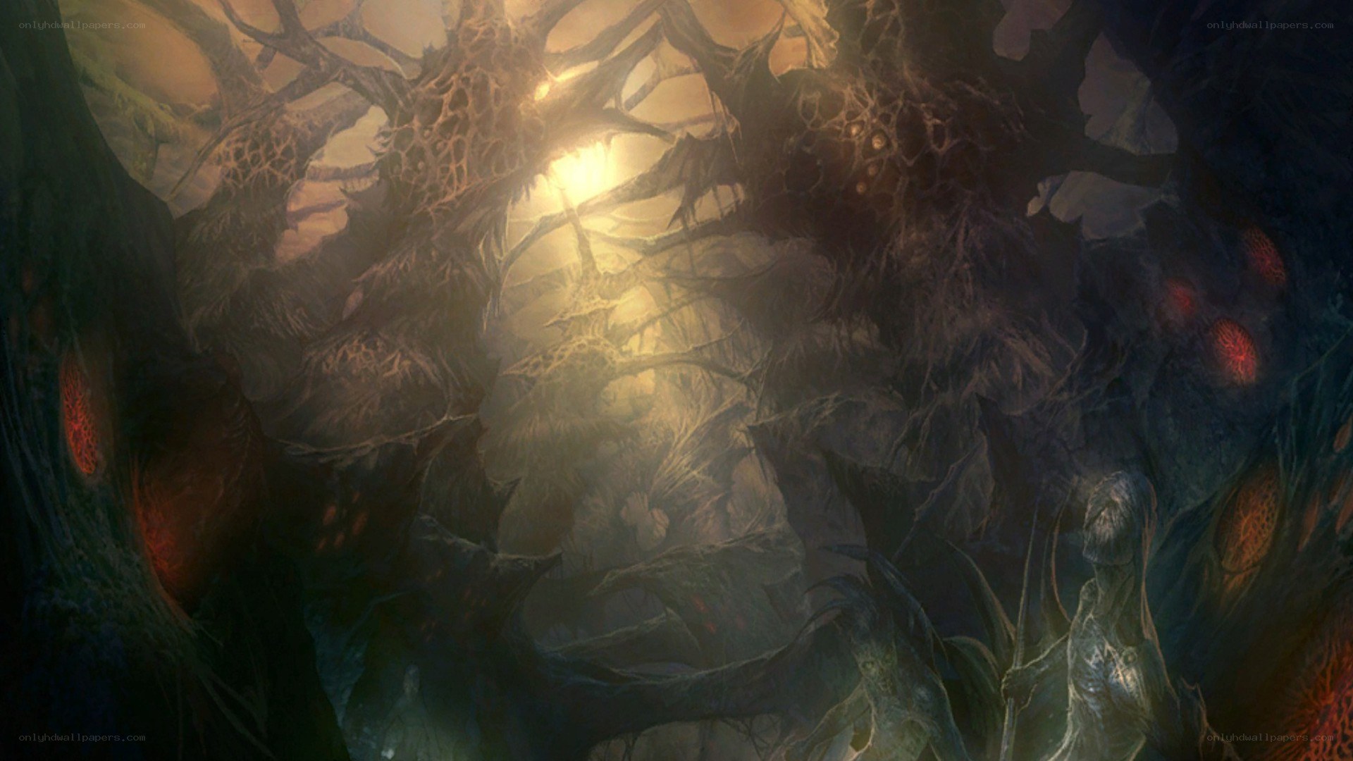dark forest with glowing eyes
