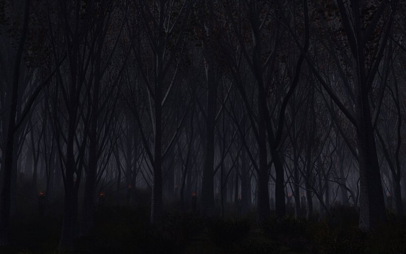 dark forest with glowing eyes