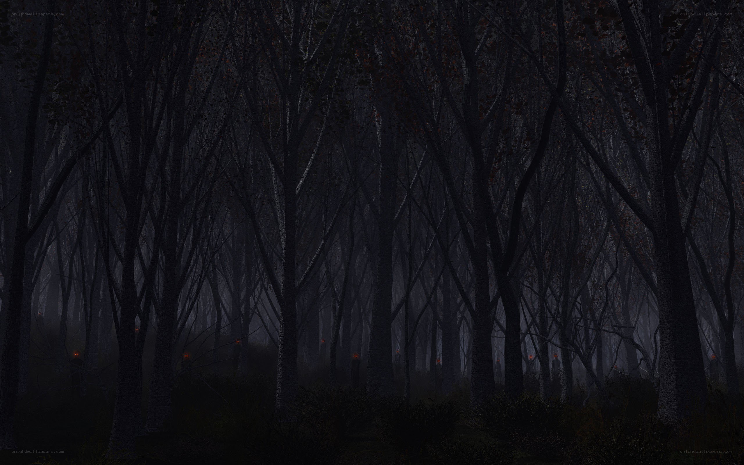 dark forest with glowing eyes