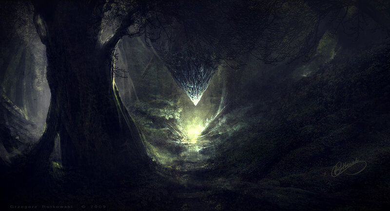 Dark forest with glowing light