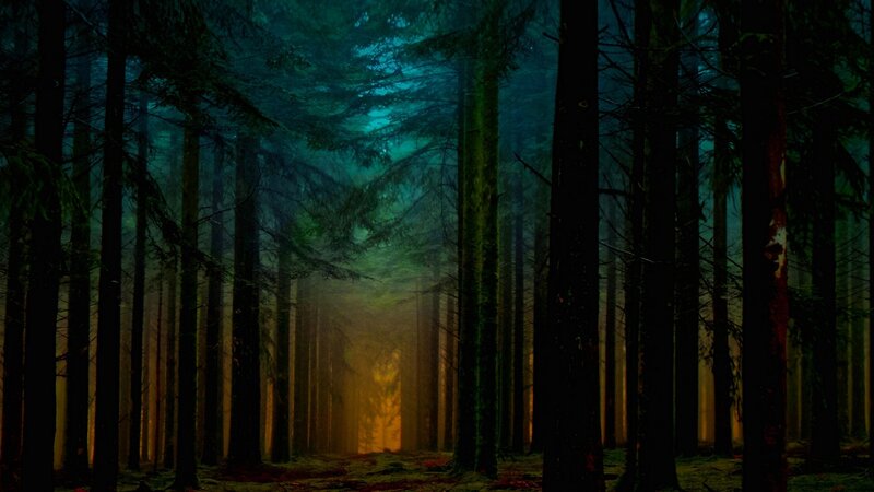 Dark Forest with Glowing Light — Green