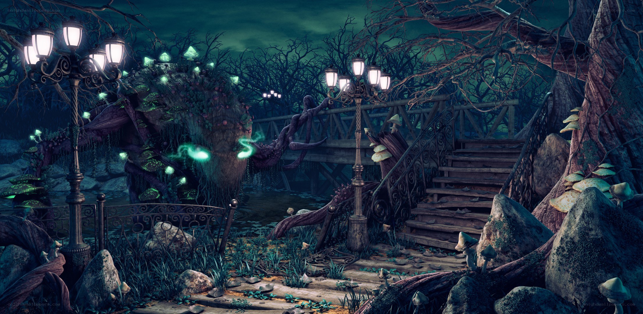 dark forest with glowing lights