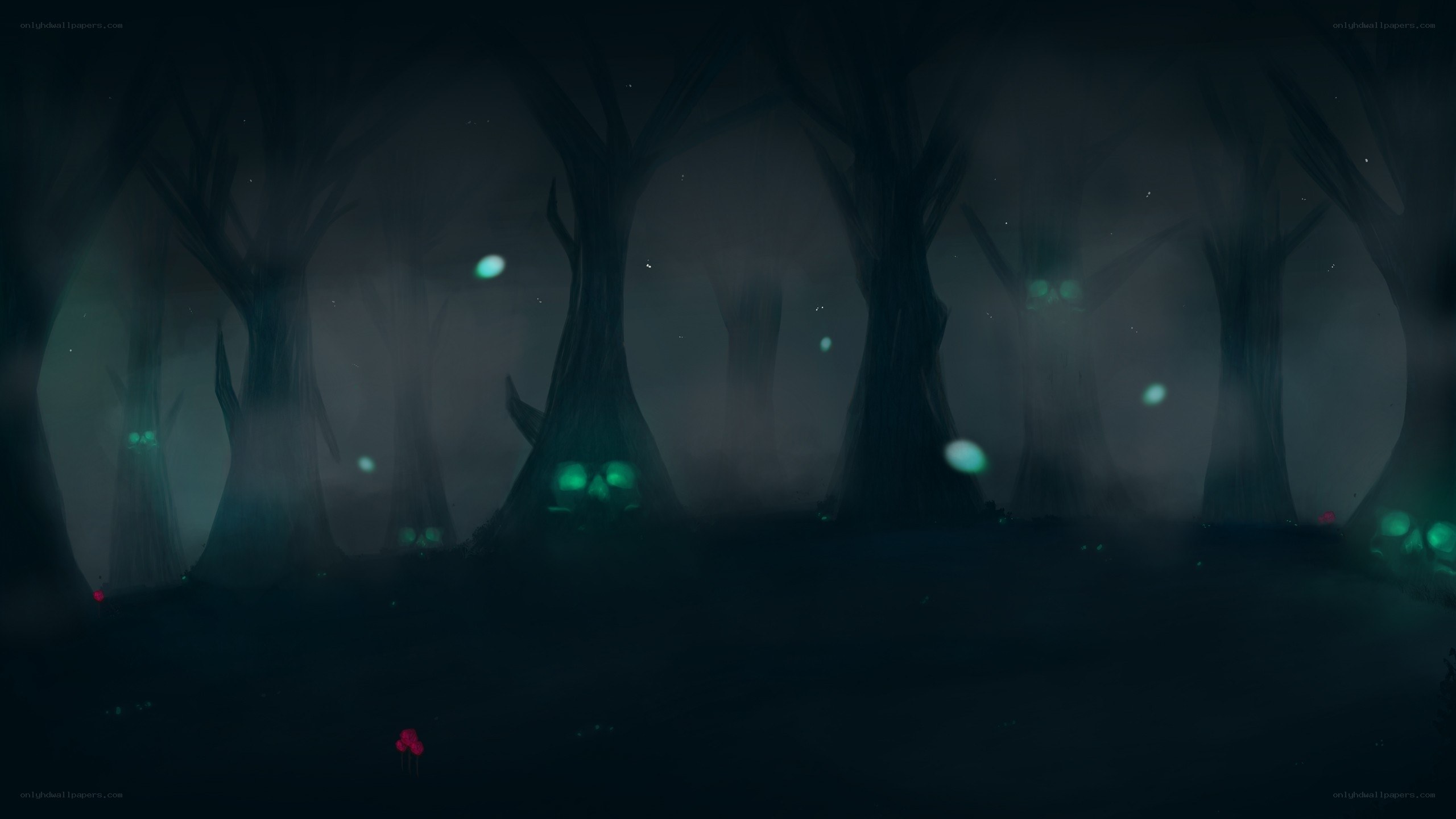dark forest with glowing lights