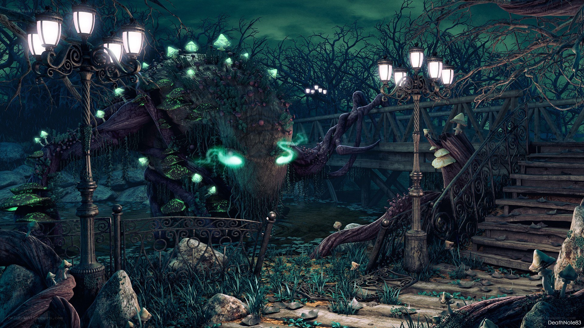 dark forest with glowing mushrooms