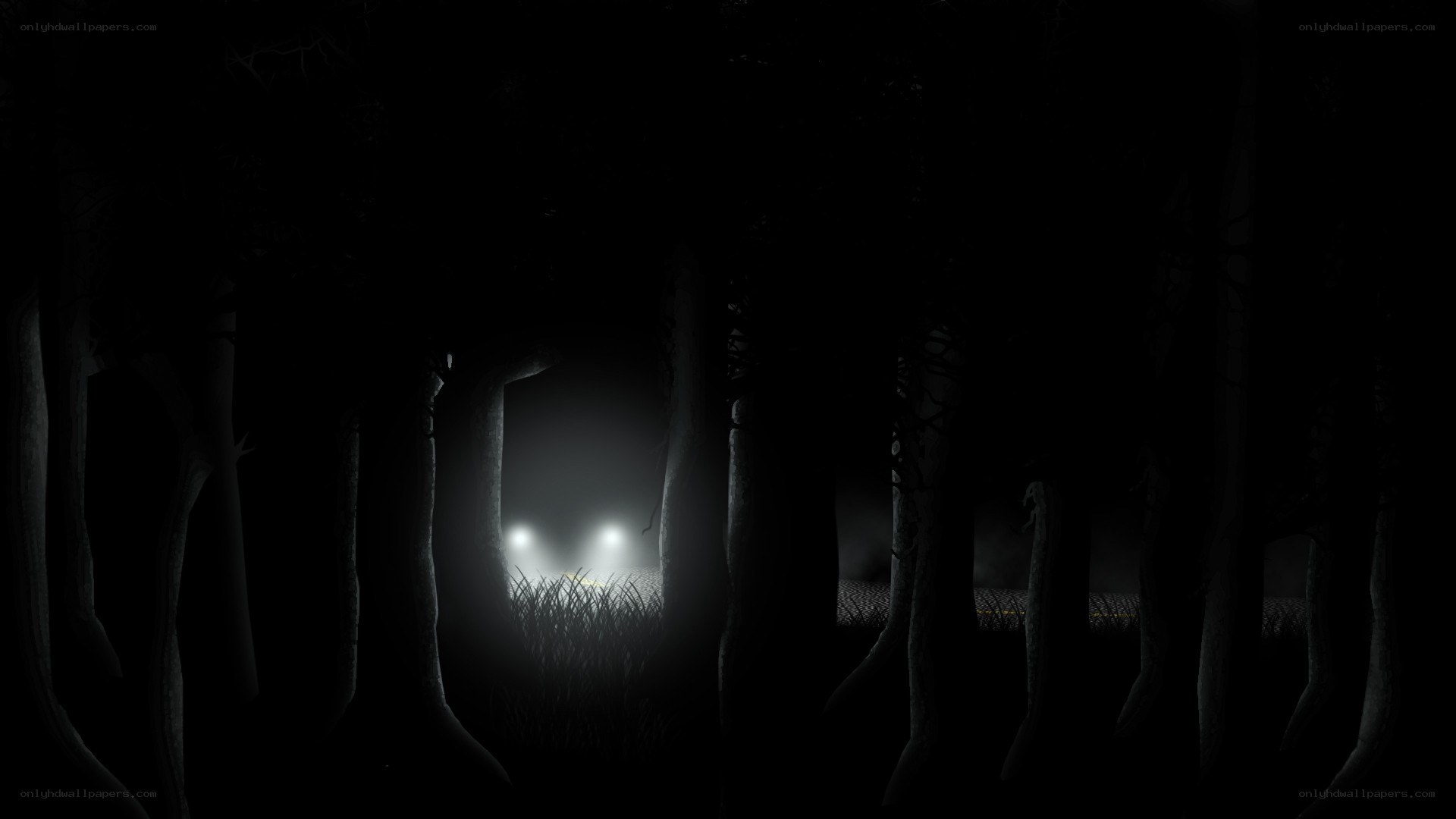 Dark forest with headlights