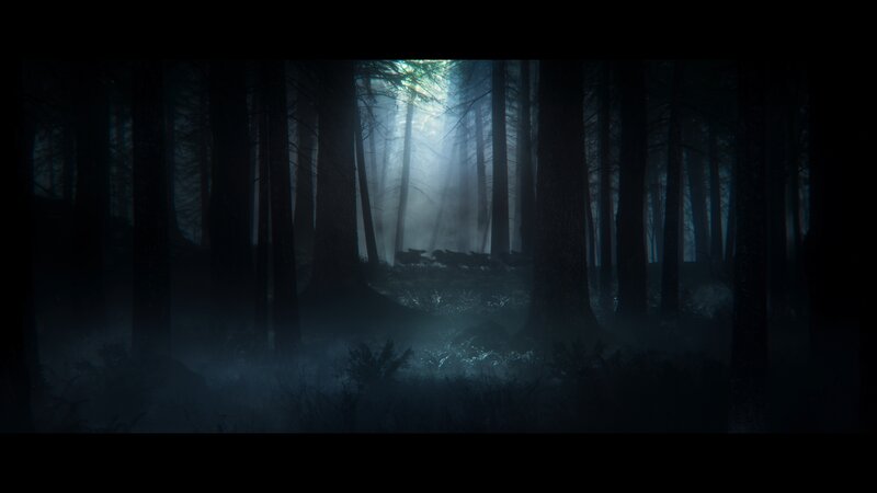 Dark Forest with Light Beams