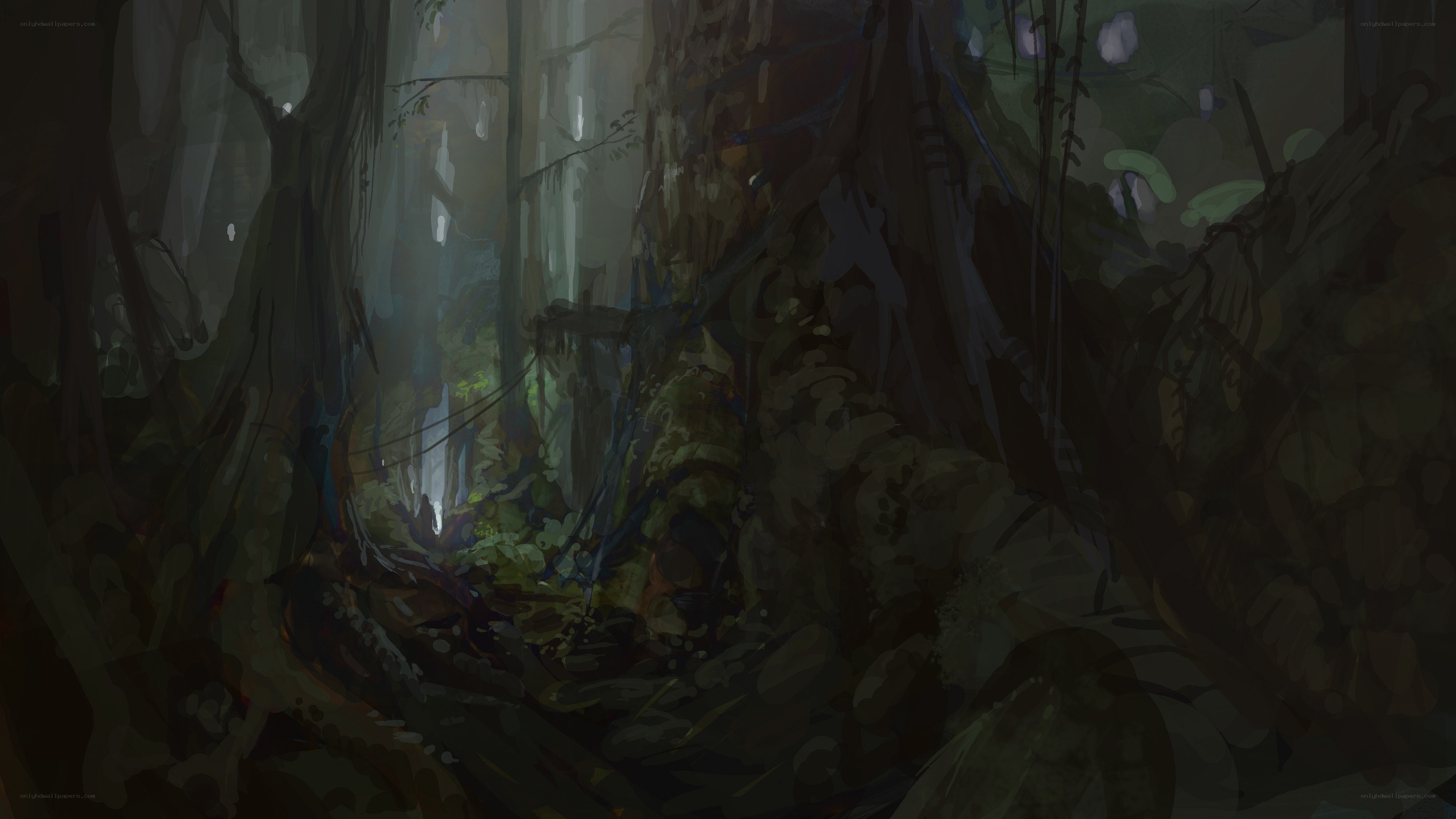 dark forest with light