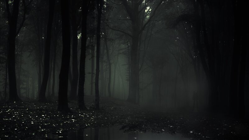 Dark forest with mist and figure