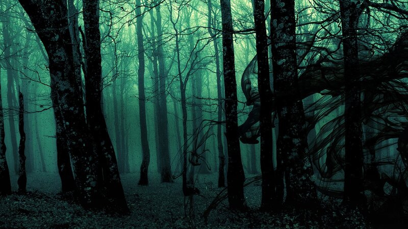 Dark Forest with Mist — Green, Eerie, Night