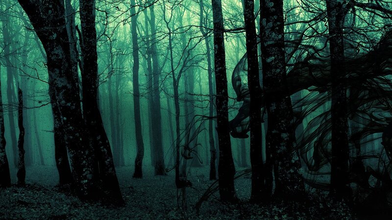 Dark Forest with Mist — Green