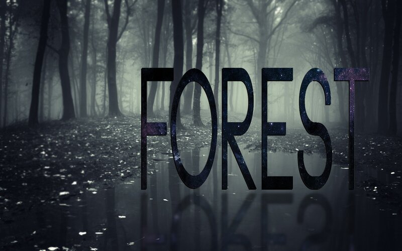 Dark Forest with Puddle