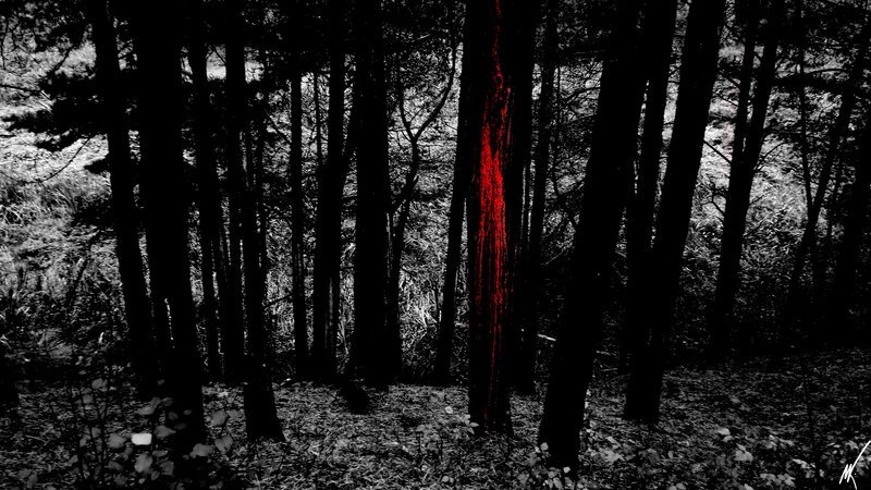 Dark forest with red tree