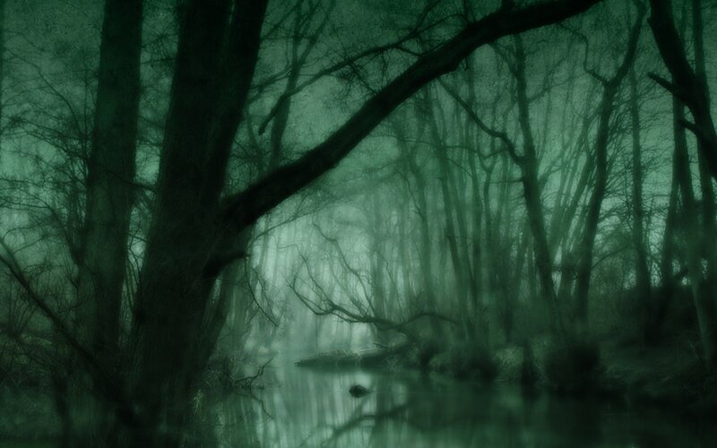 Dark Forest with River — Green
