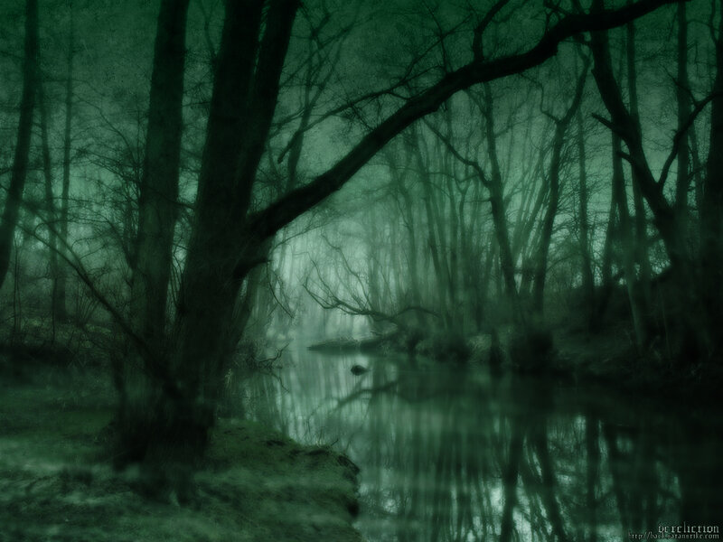 Dark Forest with River