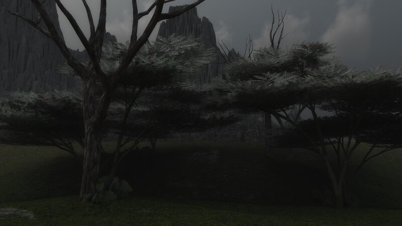 dark forest with rocky cliffs