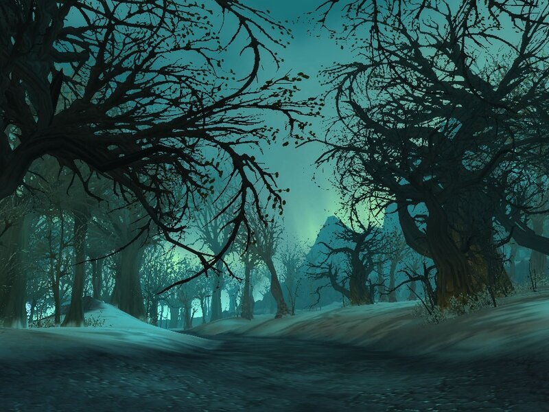 dark forest with snow